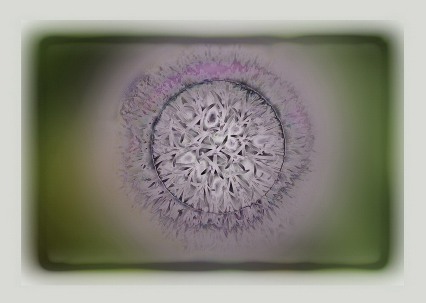 Tim_Krieger_Sonnenfinsternis4