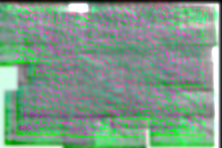 Adelsheim leuchtet Graeser_